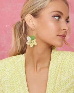 Pendientes Pétalos Lima De Malababa