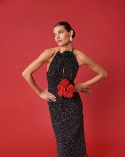 Vestido Clara Topos Negros -Lady Pipa WEB LOOK1 113