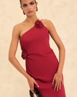 Vestido Andrea Cereza -Lady Pipa WEB LOOK16 1699