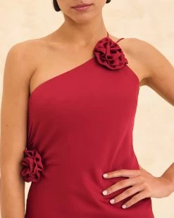 Vestido Andrea Cereza -Lady Pipa WEB LOOK16 1713