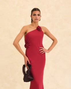 Vestido Andrea Cereza -Lady Pipa WEB LOOK16 1728